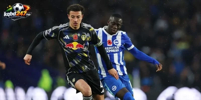 Kèo nhà cái Brighton vs Leeds United - NHA, 05/09/2026 2 Đánh giá thực lực trận Brighton vs Leeds United